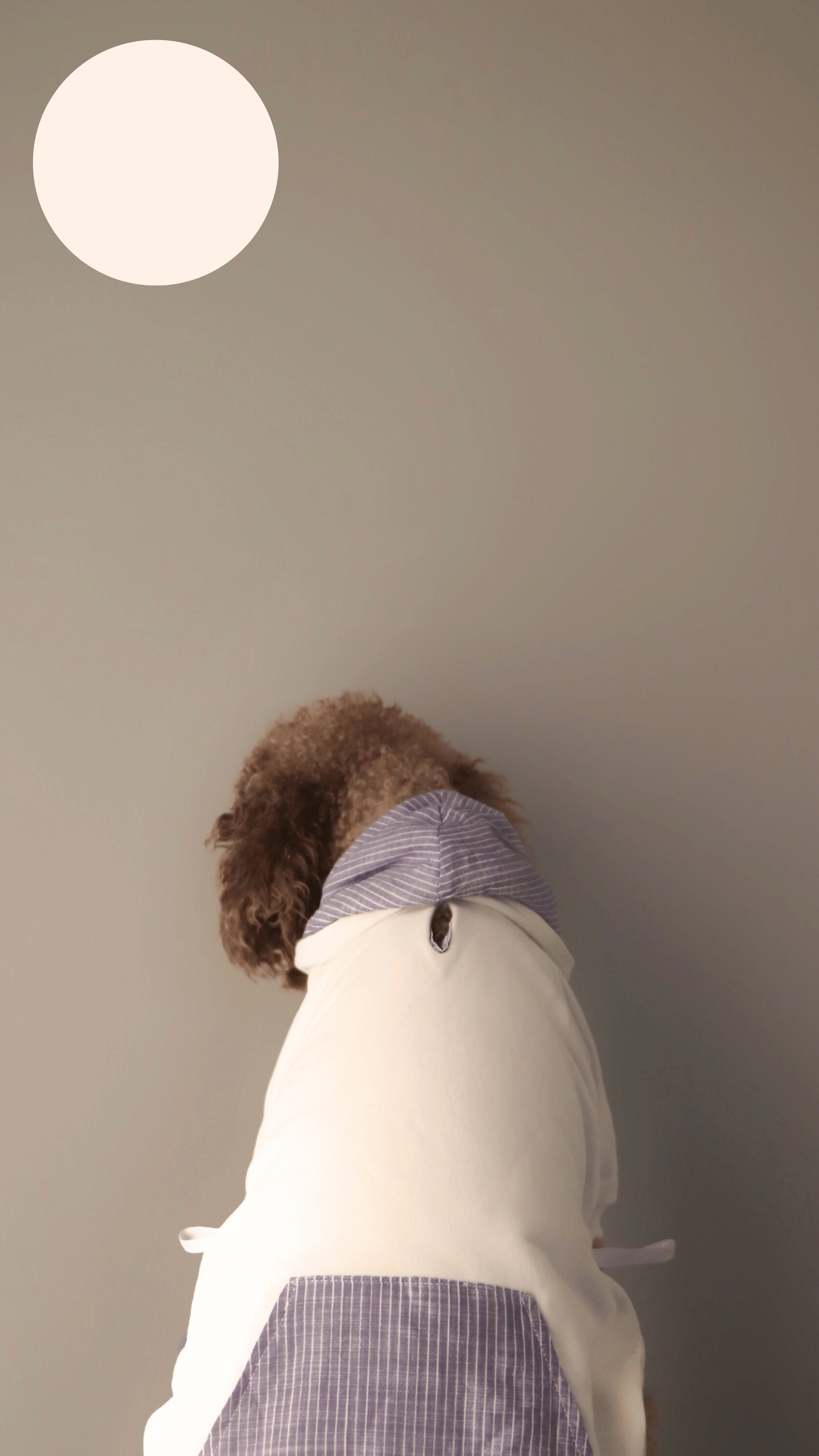 WHITEBLUE HOODIE